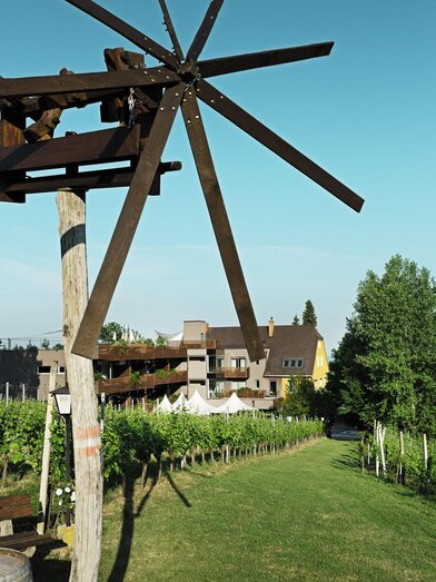 Blick vom Klapotetz | © Weingartenhotel Harkamp | HH | Weingartenhotel Harkamp | HH | © Weingartenhotel Harkamp | HH