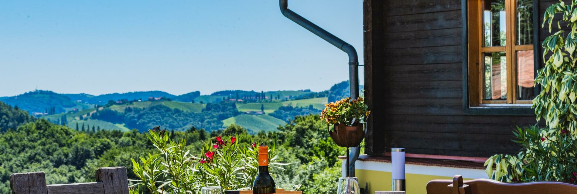 Terrasse mit Blick in den Weingarten