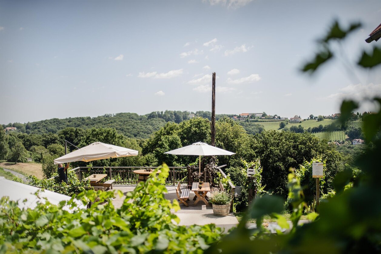 Terrasse Weingut Pfeifer | © Alexander Koch | Pfeifer | © Alexander Koch