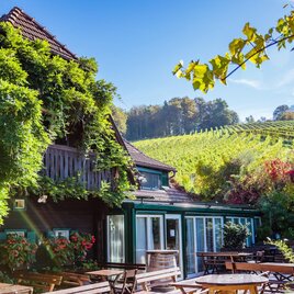 Schneiderannerl by Gregor Schiefer, Wein Werbeagen | © Wege zum Wein