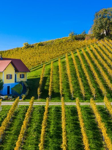 2051752_Bauer-Haus_Herbst 003 | ©pixelmaker.at | Robert Sommerauer