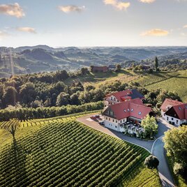 Eine malerische Landschaft mit sanften Hügeln und Weinbergen. Im Vordergrund steht ein charmantes Haus mit roten Dächern, umgeben von Grün.