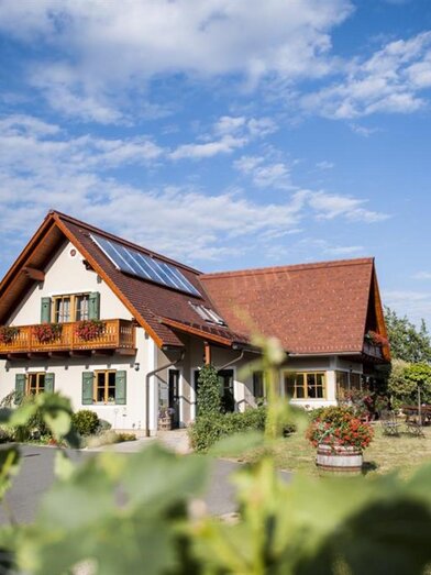 Weingut Gamser | Weingut Gamser