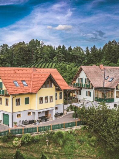 45 | © Weingut Gaube/ Maximilian Gotthard | Maximilian Gotthard | © Weingut Gaube/ Maximilian Gotthard