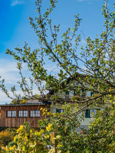 Weingut Hernach vlg. Roschitz | © Weingut Hernach vlg. Roschitz | Sandra Hartl | Sandra Hartl | © Weingut Hernach vlg. Roschitz | Sandra Hartl