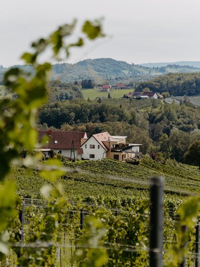 Panorama | MichaelaLorber