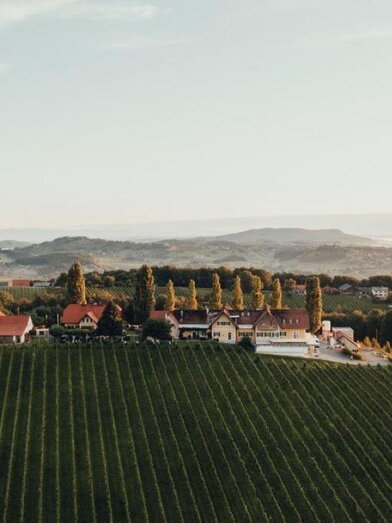 Ansicht Weingut Pichler-Schober | © CMvisuals | Weingut Pichler-Schober | © CMvisuals