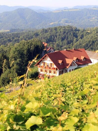 Weingut Reiterer | © Weingut Reiterer | Fam. Reiterer | Fam. Reiterer | © Weingut Reiterer | Fam. Reiterer