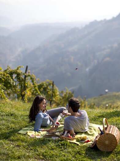 Picknickplatz Weingut Schauer | © Tom Lamm | Weingut Schauer | © Tom Lamm