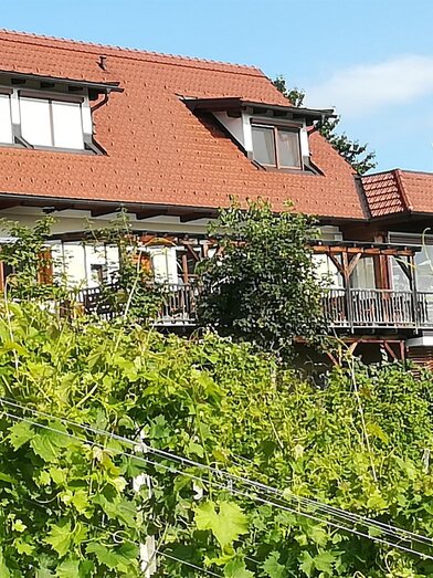 Weingut Skringer vlg. Ranz Haus | © Weinbau Skringer-Ranz | Josef Skringer | © Weinbau Skringer-Ranz