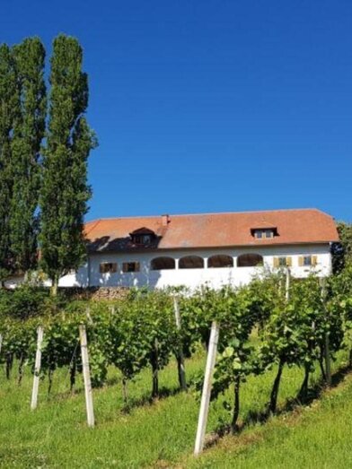 Weingut Lindenburg | © Weingut Lindenburg | Gertraud Stelzl | Gertraud Stelzl | © Weingut Lindenburg | Gertraud Stelzl