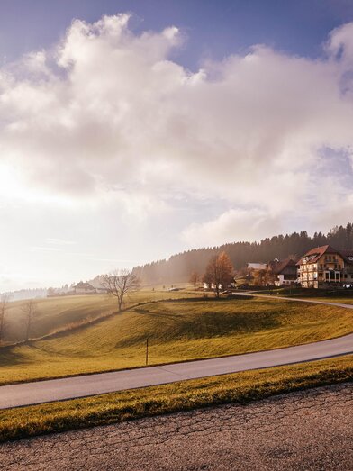 Wildwiesenhof im Herbst