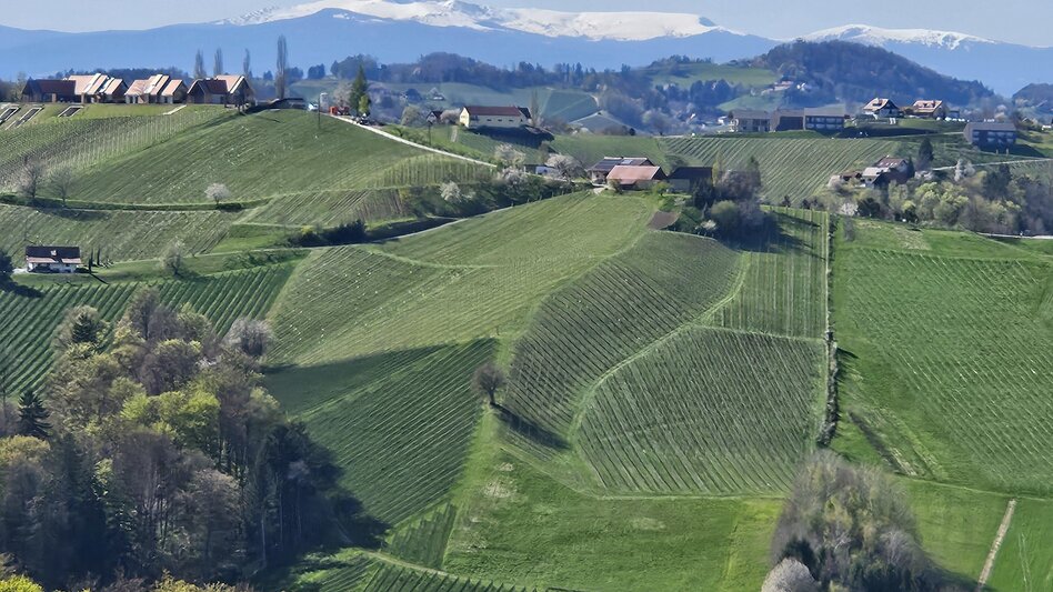 Aussicht zur Koralpe | Margit/Joachim