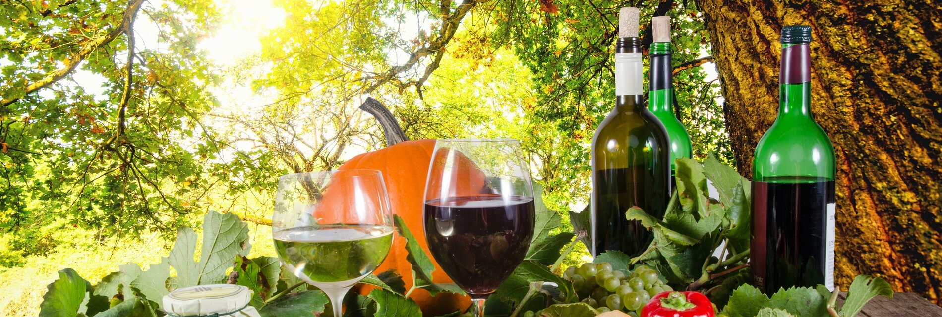 Herbstlicher Wein-Genuss