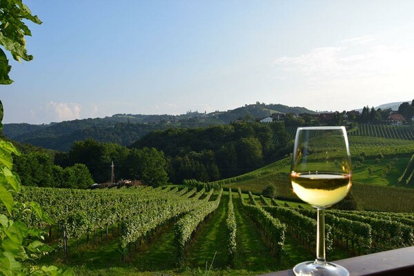 Weinglas mit Aussicht | © Buschenschank Riedl Kilian vlg. Fostl