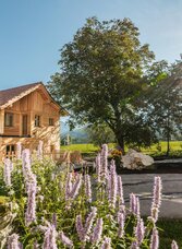Sommertag am Spitzenhof | © Thomas Sattler | © Thomas Sattler