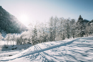 Winterurlaub Donnersbachwald | © Armin Walcher