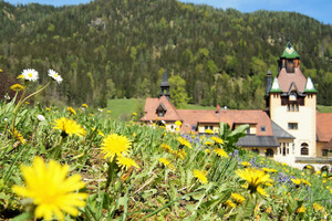 Kräutlerei und Blütenzauber | © Schloss Kassgeg