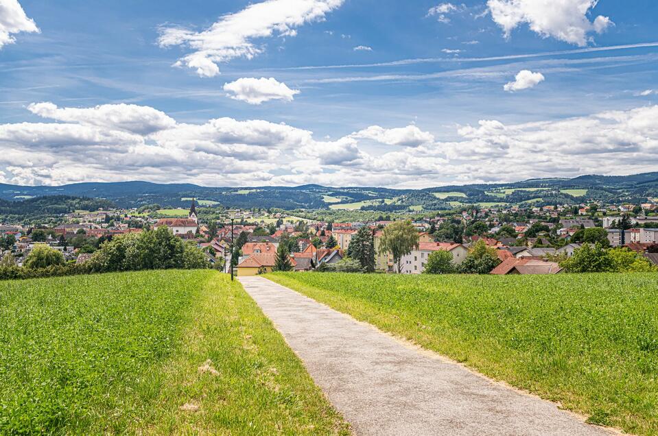Panorama Köflach | © Lipizzanerheimat-DieAbbilderei