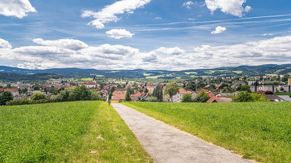 Panorama Köflach | © Lipizzanerheimat-DieAbbilderei