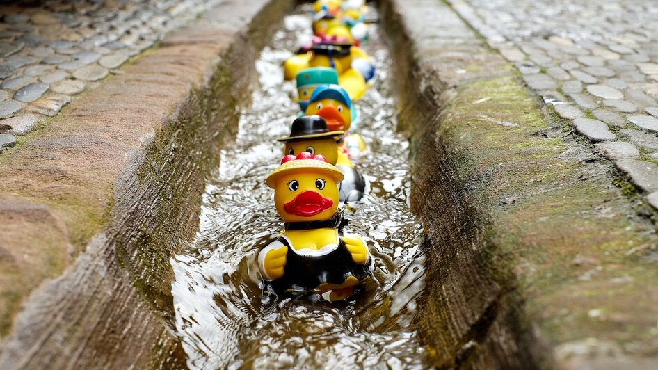 Familyday with duck race - Impressionen #2.3