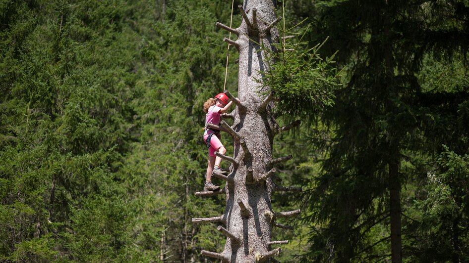 Trial climbing for children in the Obertal - Impressionen #2.7