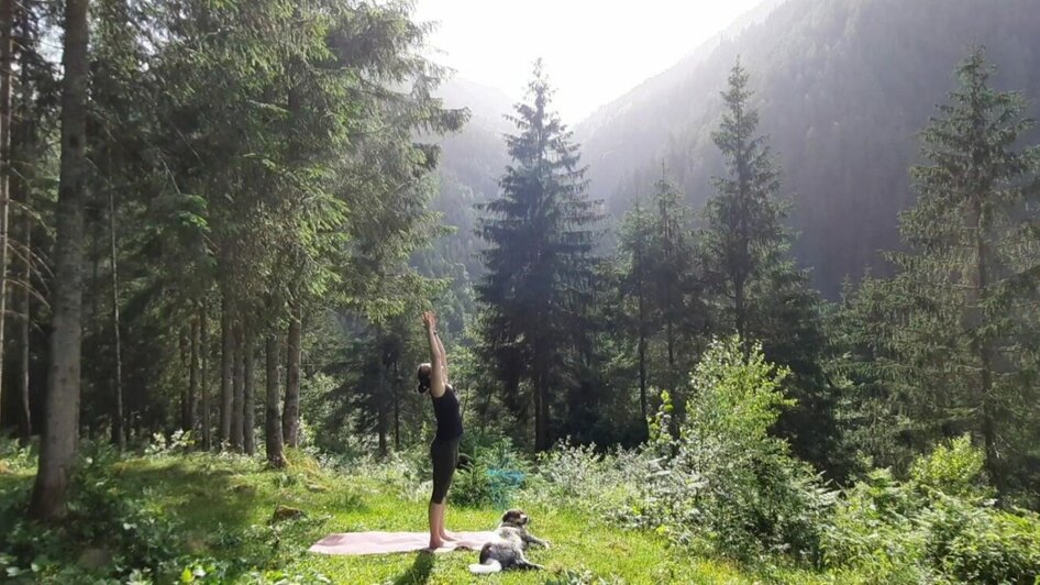 Forest yoga - Impressionen #2.4