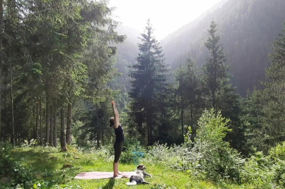 Forest yoga - Impression #1