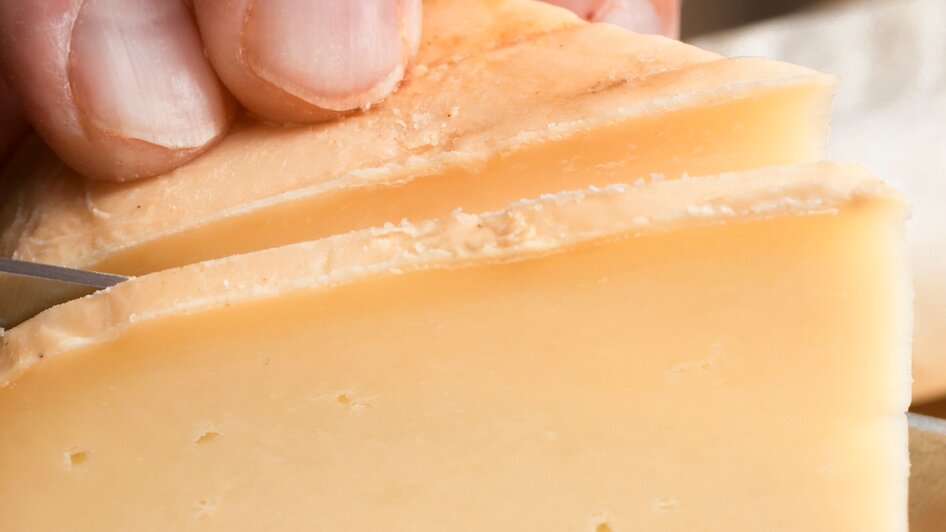 Wie wird Käse produziert? - Impressionen #2.1 | © freepik