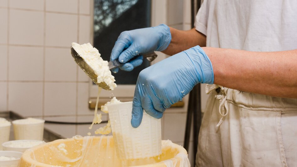 Wie wird Käse produziert? - Impressionen #2.3 | © freepik