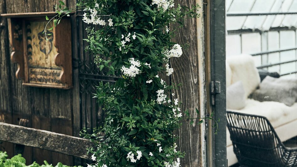 der pranzl Blumen & Co - Impression #2.1 | © Armin Walcher