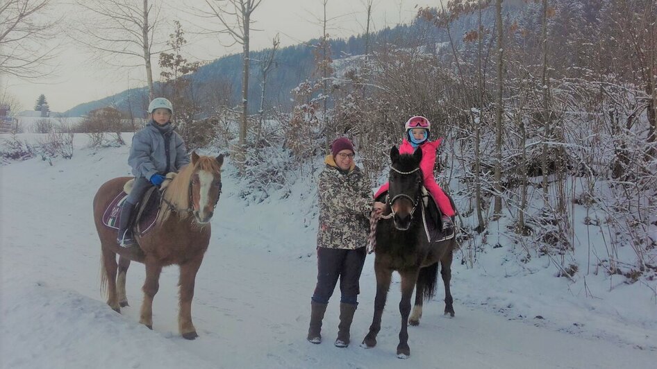 Guided pony hikes, Sulzbacher family - Impression #2.1