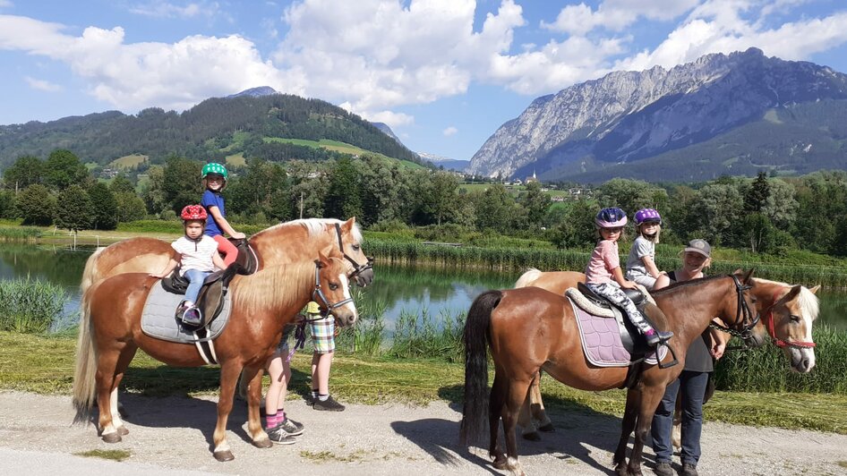 Guided pony hikes, Sulzbacher family - Impression #2.6