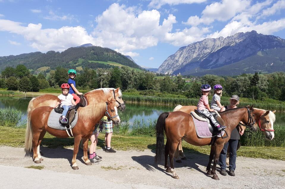 Guided pony hikes, Sulzbacher family - Impression #1