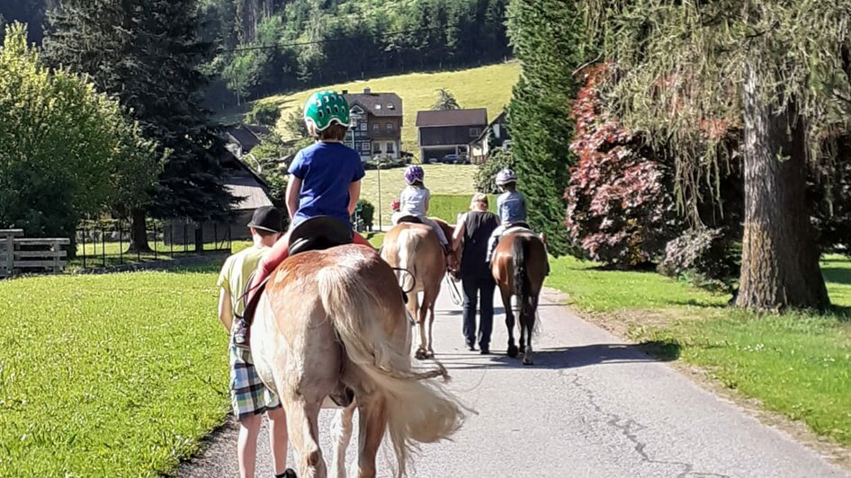Geführte Ponywanderungen, Fam. Sulzbacher - Impression #2.4 | © Elke Sulzbacher 