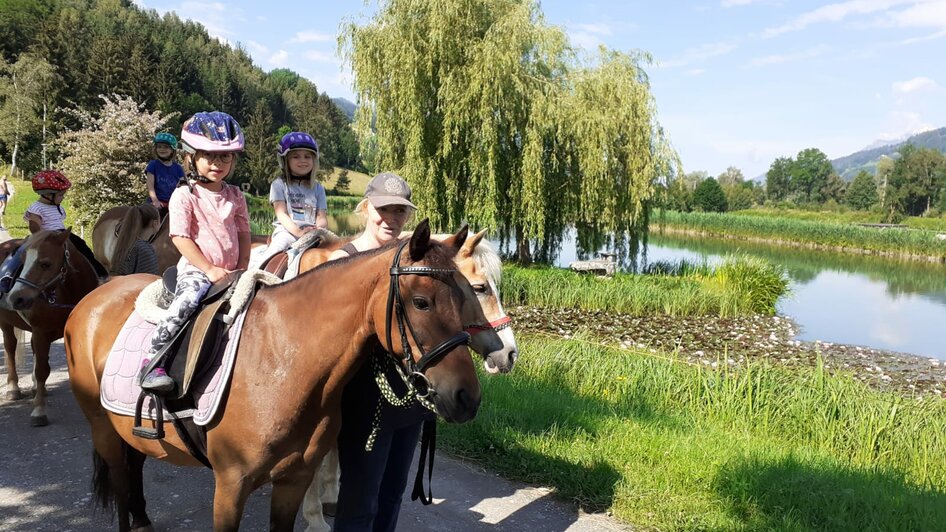Guided pony hikes, Sulzbacher family - Impression #2.5