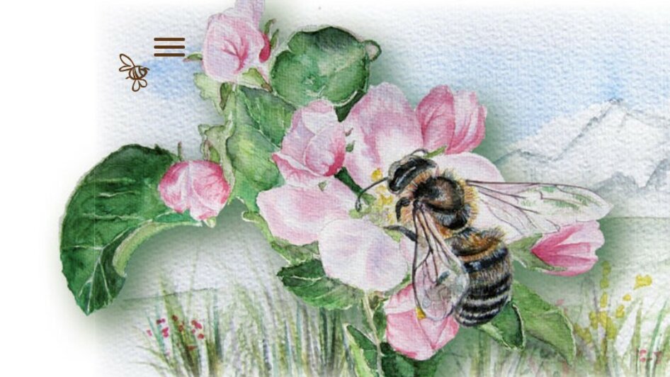 Biene auf Blume | © Imkerei Stockreiter