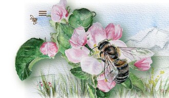 Biene auf Blume | © Imkerei Stockreiter
