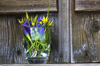 Blumen | © Symbolbild PixaBay / onkelglocke