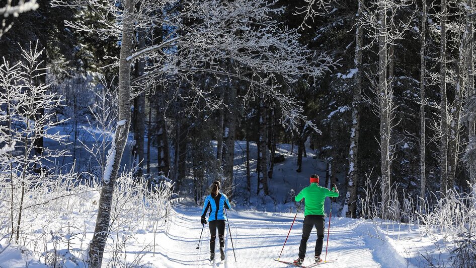 Cross-country skiing in Untertal - Impression #2.4