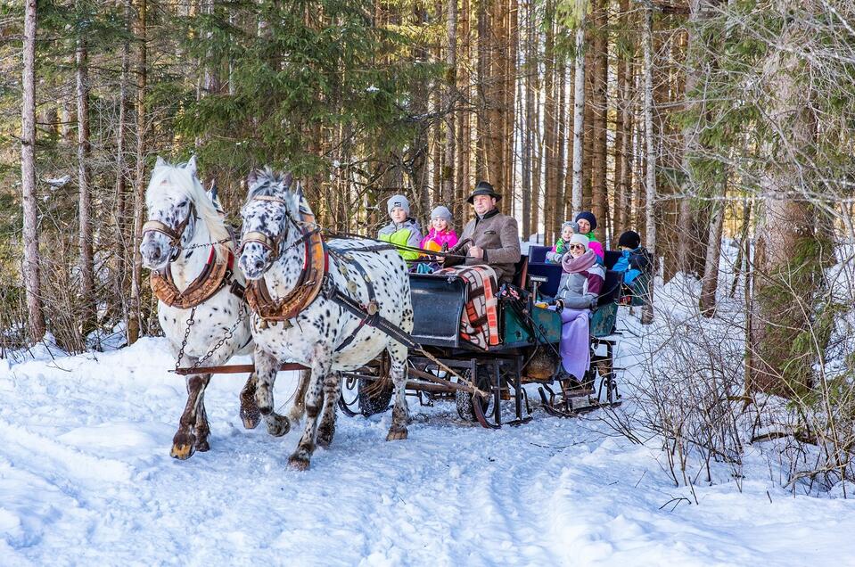 Horse-drawn sleigh rides at Pitzerhof - Impression #1
