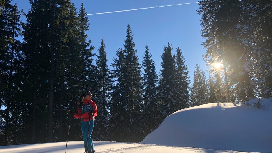 Alpine Ski School Ramsau - Impression #2.1