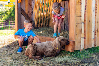 Kinder beim Streicheln eines Schafes | © Hauser Kaibling@René Eduard Perhab